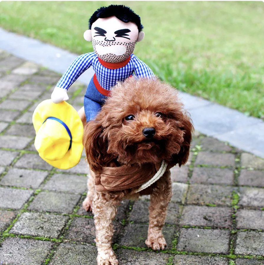 Wagstead Halloween Costume